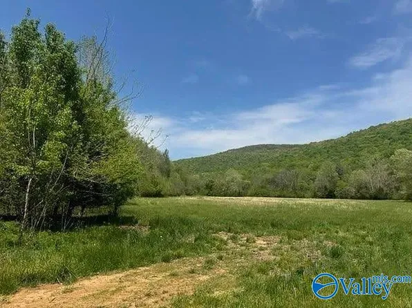 County Road 604, Hollytree, AL 35751