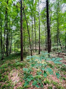 0 Twin Creeks Dr #61, Troutman, NC, 28166