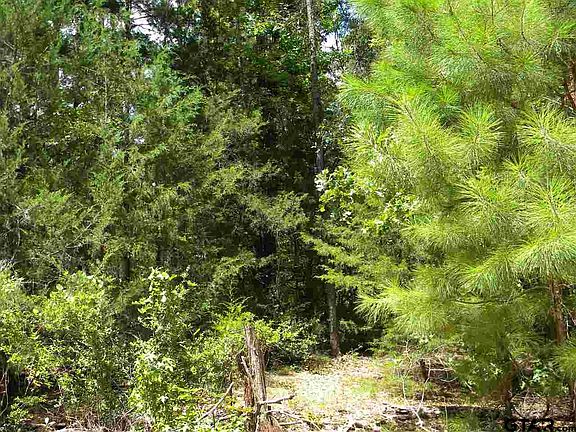 5th image of 510-511-512 Wild Lake Path