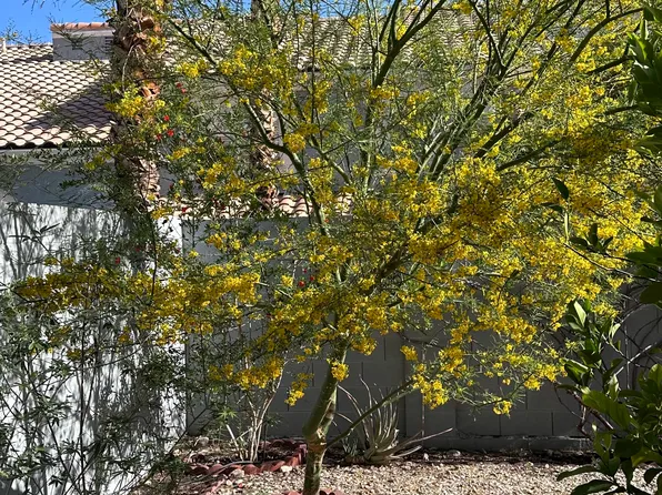 8433 Pacific Fountain Ave, Las Vegas, NV 89117