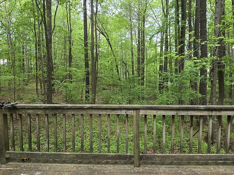 Back deck