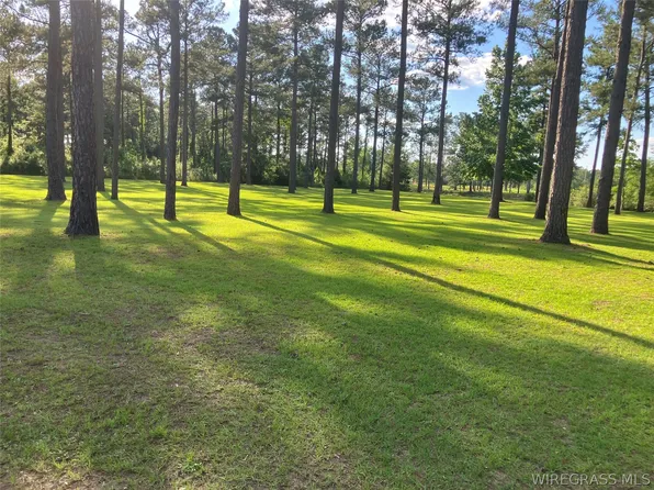1 Bush Isle Rd, Andalusia, AL 36421