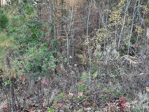 2nd image of 931 Eagle Nest Dr Lot 227