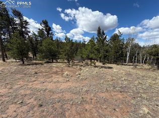 2988 Pikes Peak Dr, Florissant, CO 80816