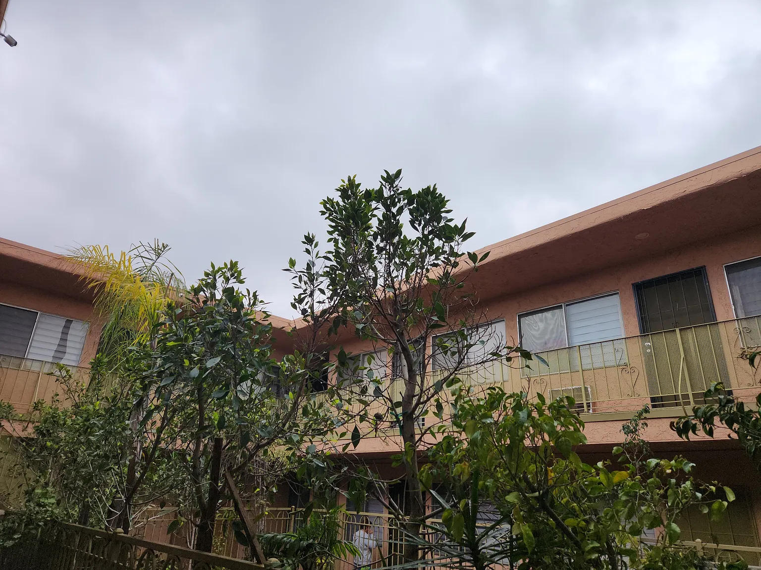 1 bed, 650 sqft, $1,950 — Photo 3