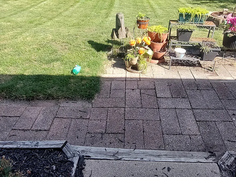 South St — Photo 18