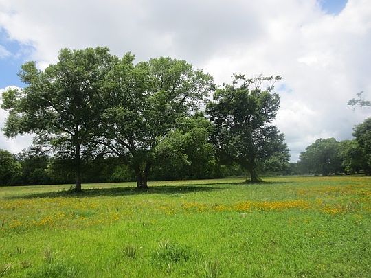 1st image of 17818 County Road 463