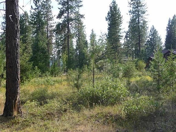 3rd image of 0 Palmer Ln Lot 12