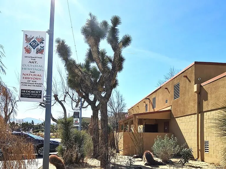 8523 Barberry Ave — Photo 32