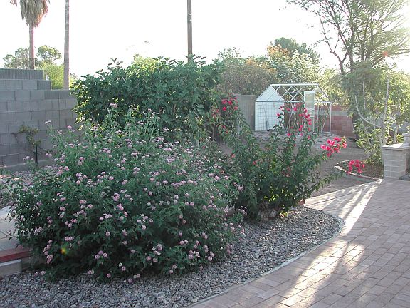Backyard w Greenhouse
