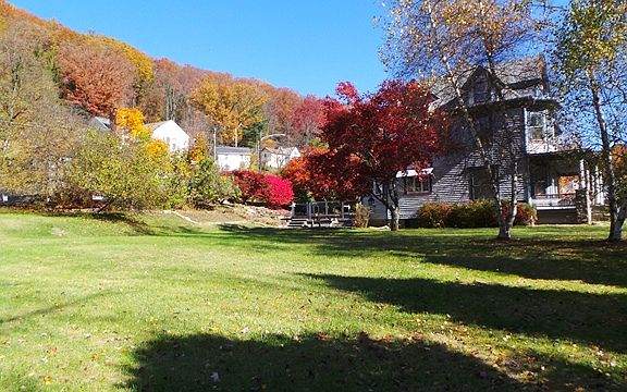 Side yard, double lot