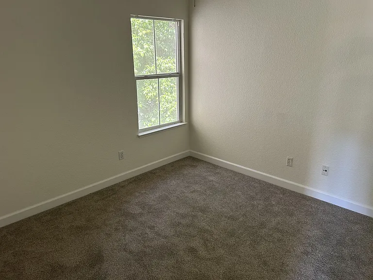 597 Canvasback Ct — Photo 14