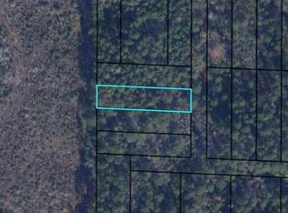 0 T J Mitchell Rd, Bonifay, FL 32425
