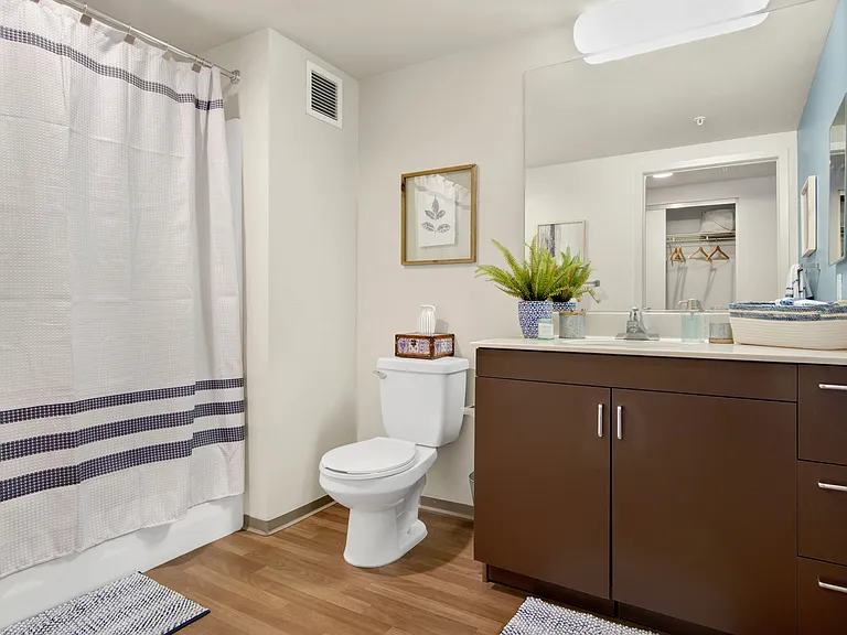 Comfortable Bathrooms