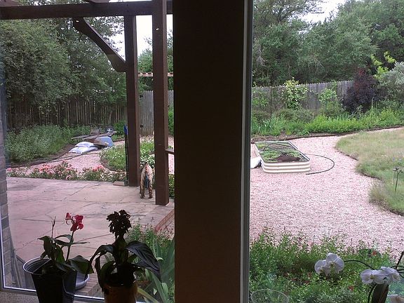 backyd and patio from family