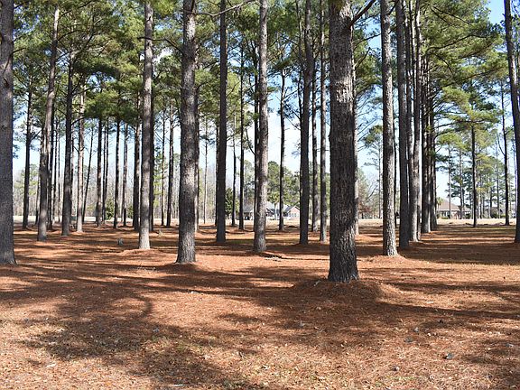 2nd image of 400 Pinelake Ct