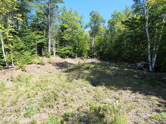 3rd image of 16 Woodland Ln