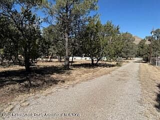4th image of 137 Wood Ln