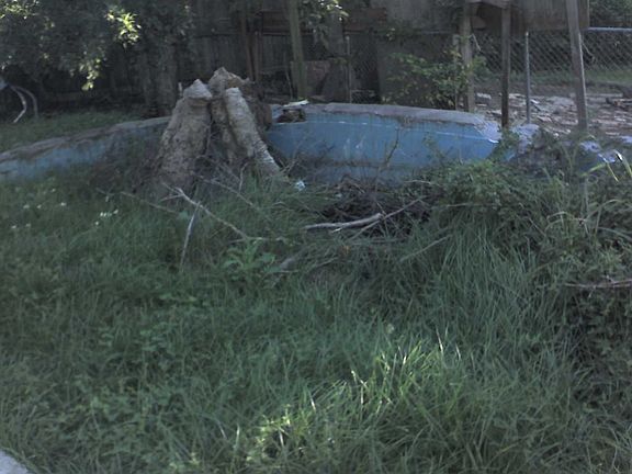 back yard