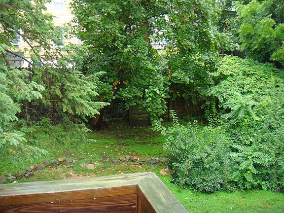 back yard