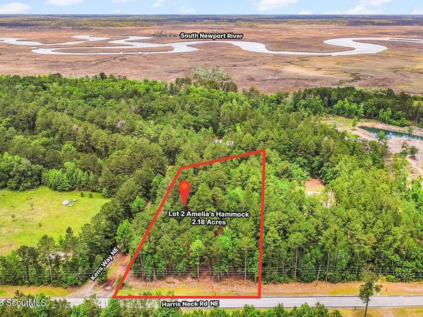 LOT 2 Kens Way NE, Townsend, GA 31331