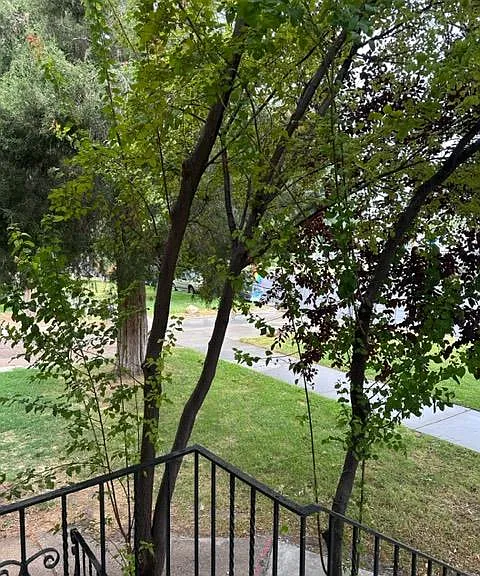 545 W 500 N #5 — Photo 22