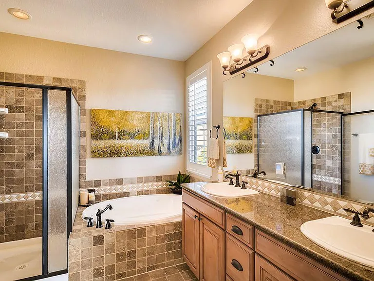 10706 Horseshoe Creek Point — Photo 13