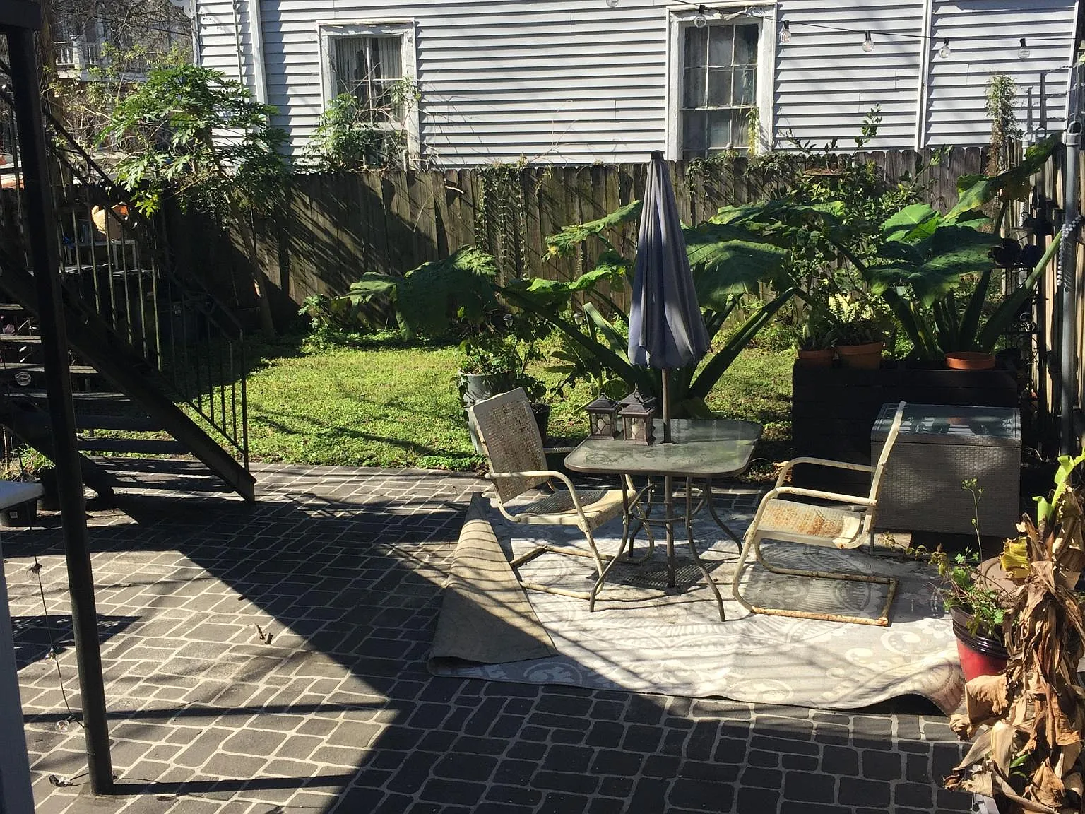 2 bed, 800 sqft, $1,500 — Photo 3