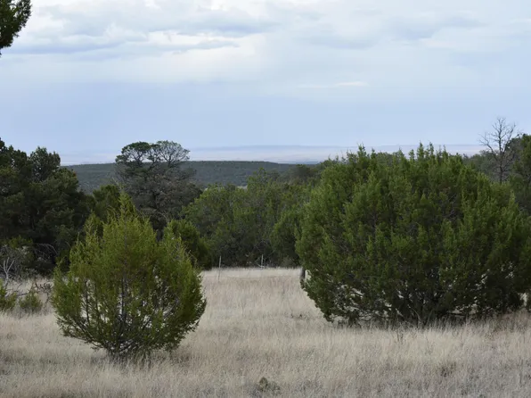 184 Sunlight Rd, Edgewood, NM 87015