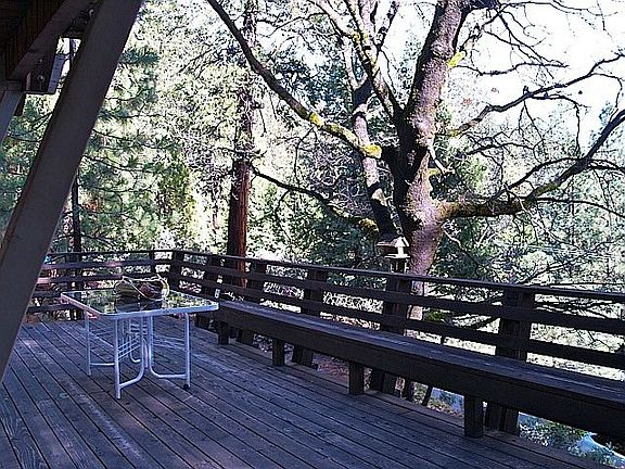 4th image of 1960 Patricia Ln