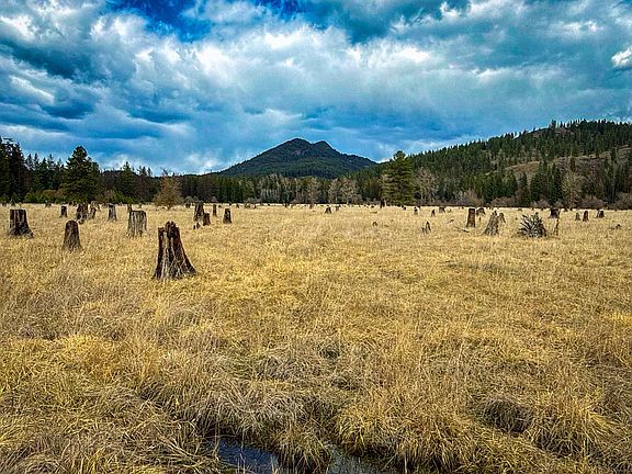 3rd image of Nka Best Chance Rd