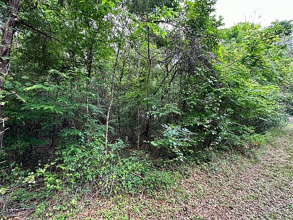 4th image of Tbd Sw Newark Dr