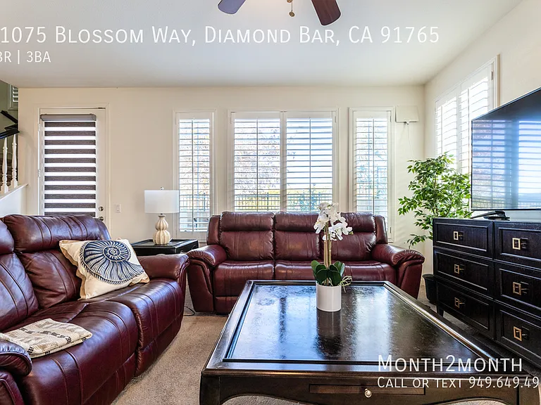 21075 Blossom Way — Photo 22
