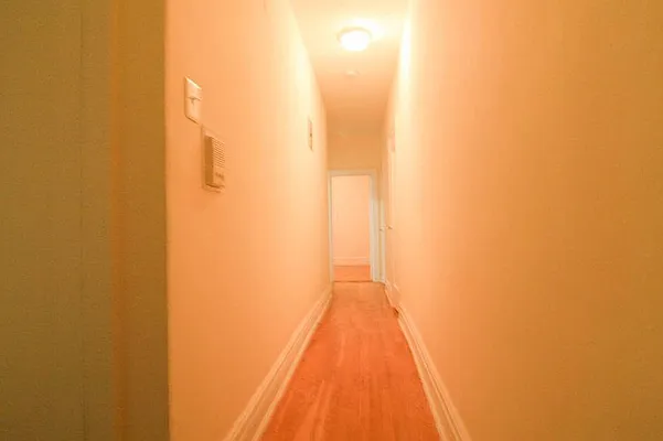 Rented by Voro New York | media 5