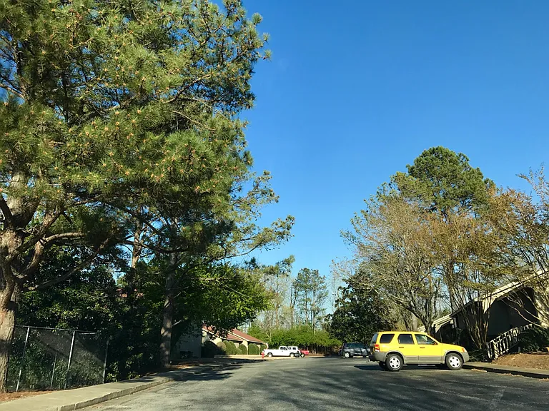 1041 Stonegate Dr #B — Photo 25