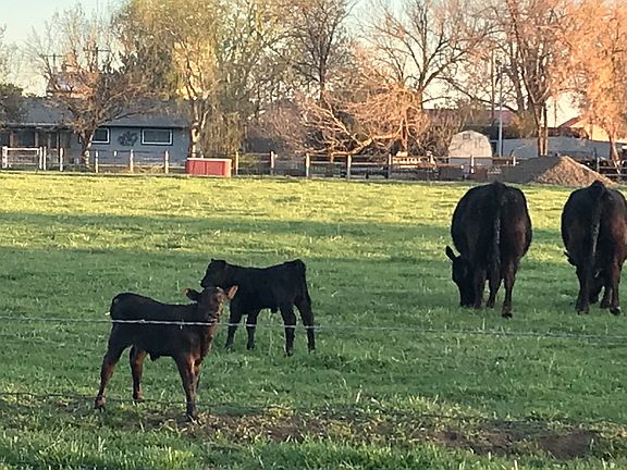Quiet street/neighbors