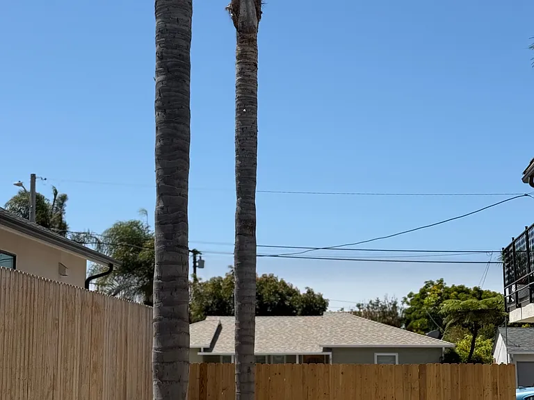 1883 Ocean Ave #2 — Photo 8