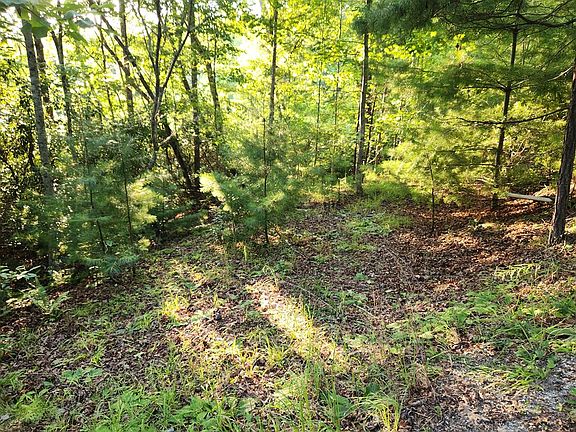 5th image of 27 Cherokee Ln