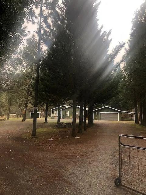 299 Peaceful Valley Ln photo 1