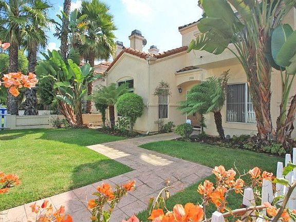 Enjoy the large palm trees