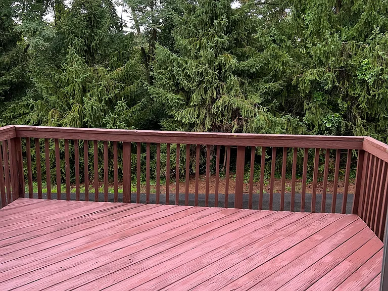 2517 Hawthorne Dr — Photo 10