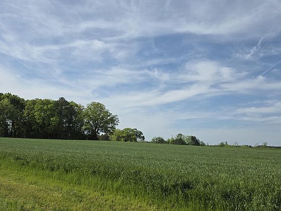 3rd image of 294 Hight Rd