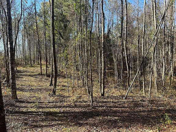 Photo Jan 16 2026 1 22 15 Pm