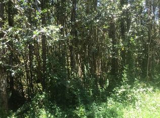 Pahoa Rd LOT 782, Pahoa, HI 96778