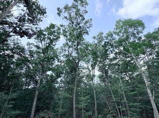 0 S Shady Grove Dr, Baldwin, MI 49304