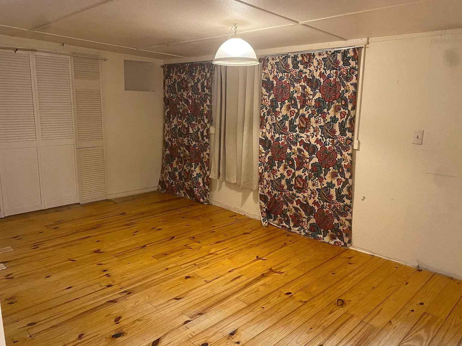 1 bed, $800 — Photo 2