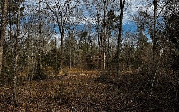 3rd image of 0 An County Rd #1233