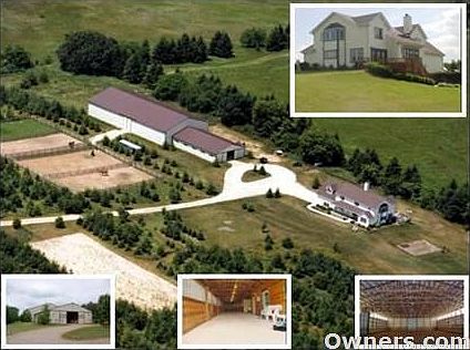 Equestrian Beauty / Executive Privacy