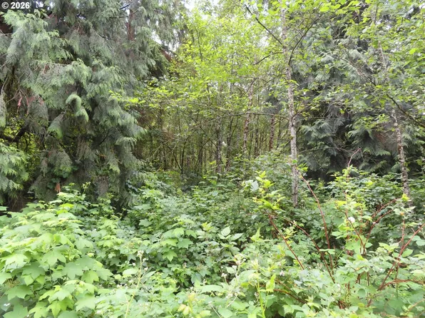 Sylvan Way, Longview, WA 98632