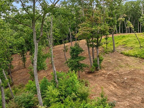 4th image of 92 Timberline Trl
